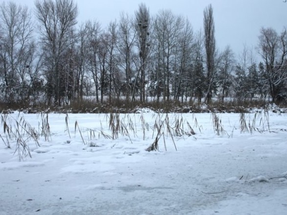 У Харкові в лісосмузі виявили труп