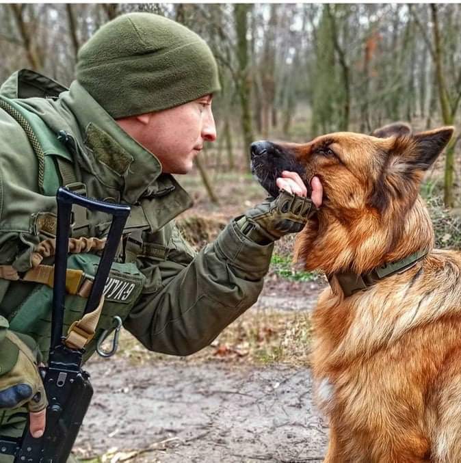 Чи можуть тварини хворіти на COVID-19: думки ветеринарів