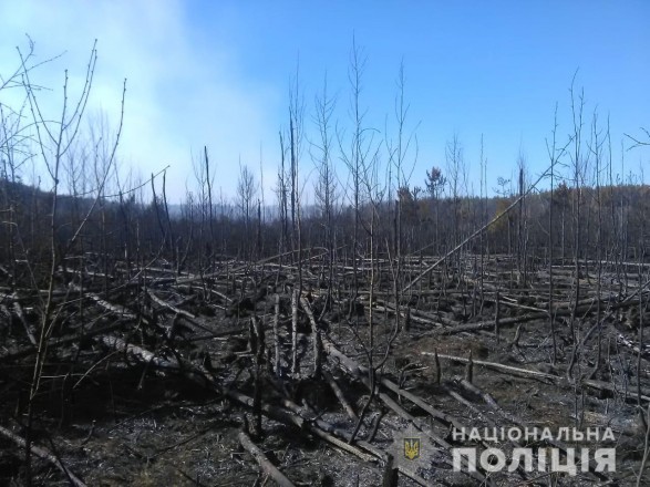 У Чорнобильській зоні продовжують гасити пожежі