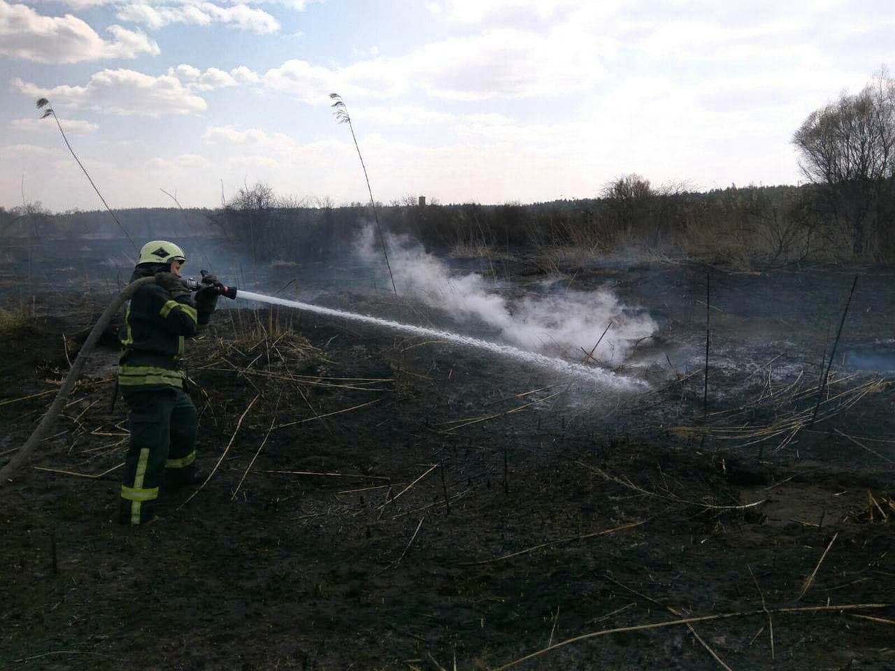 Пожежа у Києві на вулиці Лермонтовій – вогнеборці ліквідували загоряння торфу