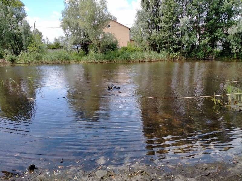 У Києві на вулиці Левадній в ставку втопився чоловік