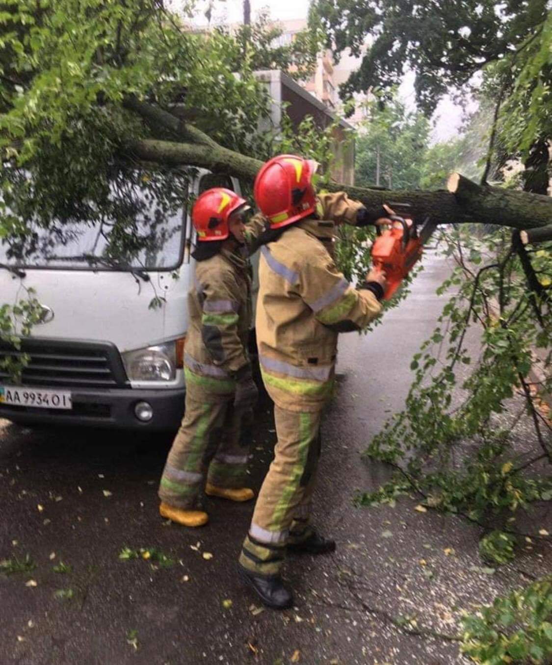 Наслідки негоди в Києві: дерево впало на автівку і заблокувало дорогу